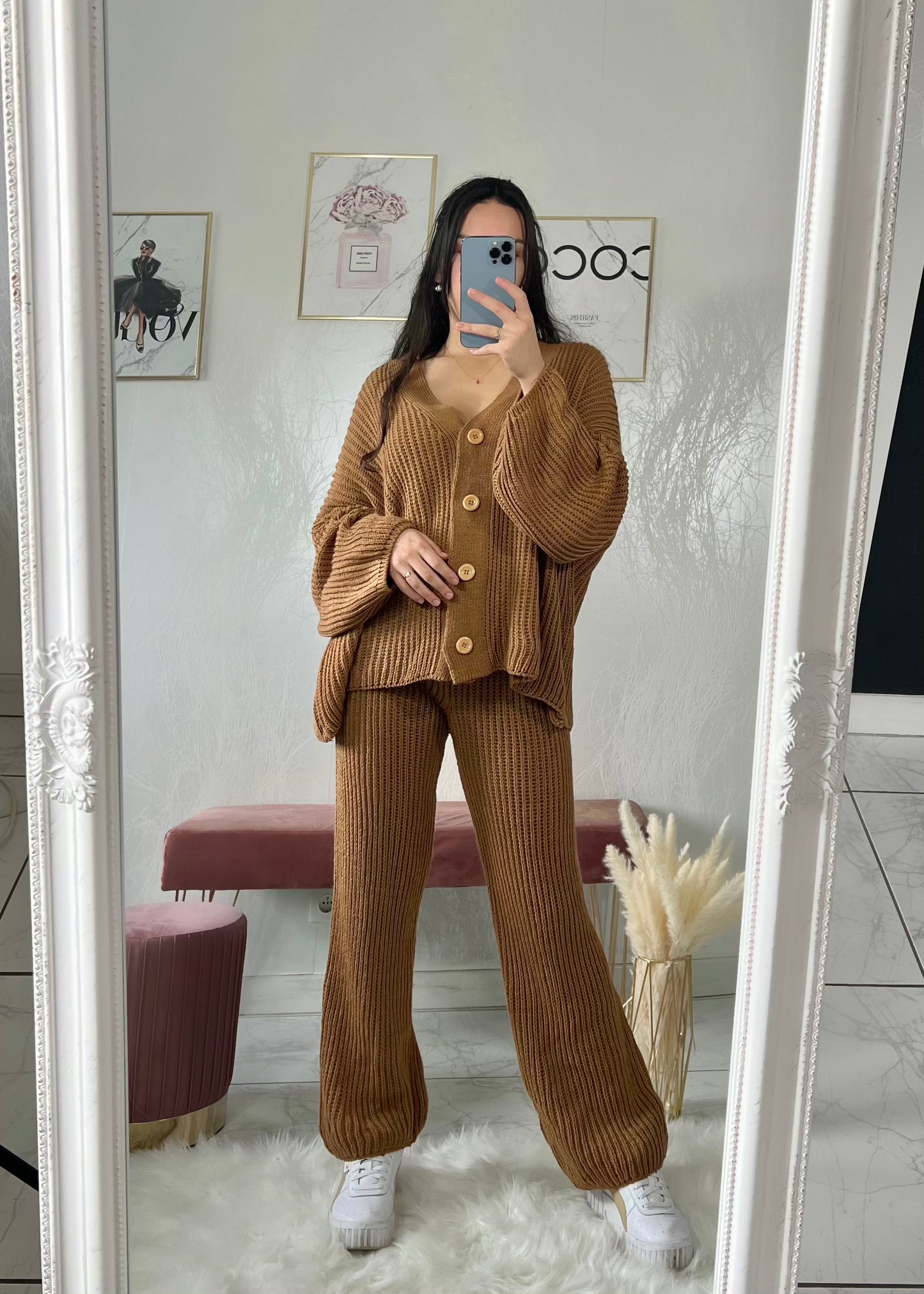 Ensemble LINA camel